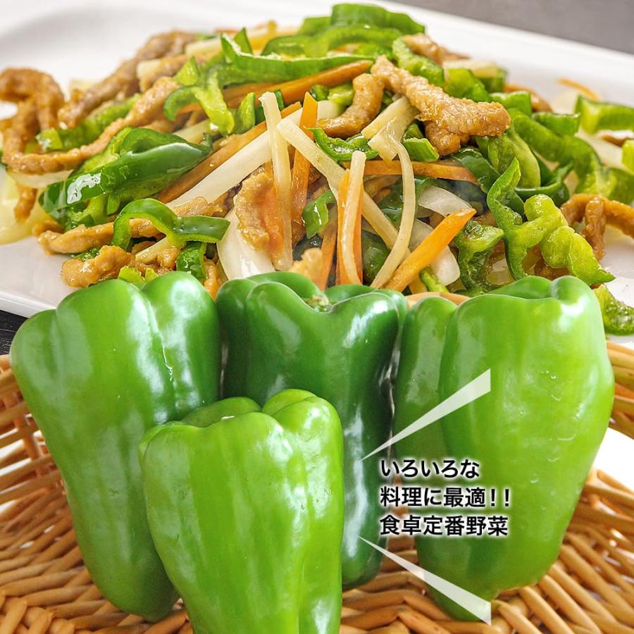 3種野菜セット（キャベツ・ピーマン・にんじん）3種セット 野菜セットA