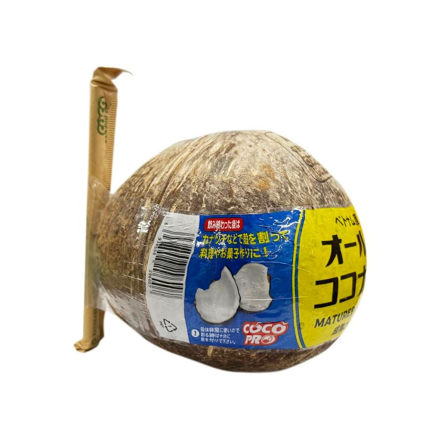 ベトナム産 ココナッツ 12玉入 約10kg （箱） ストロー付き オールド