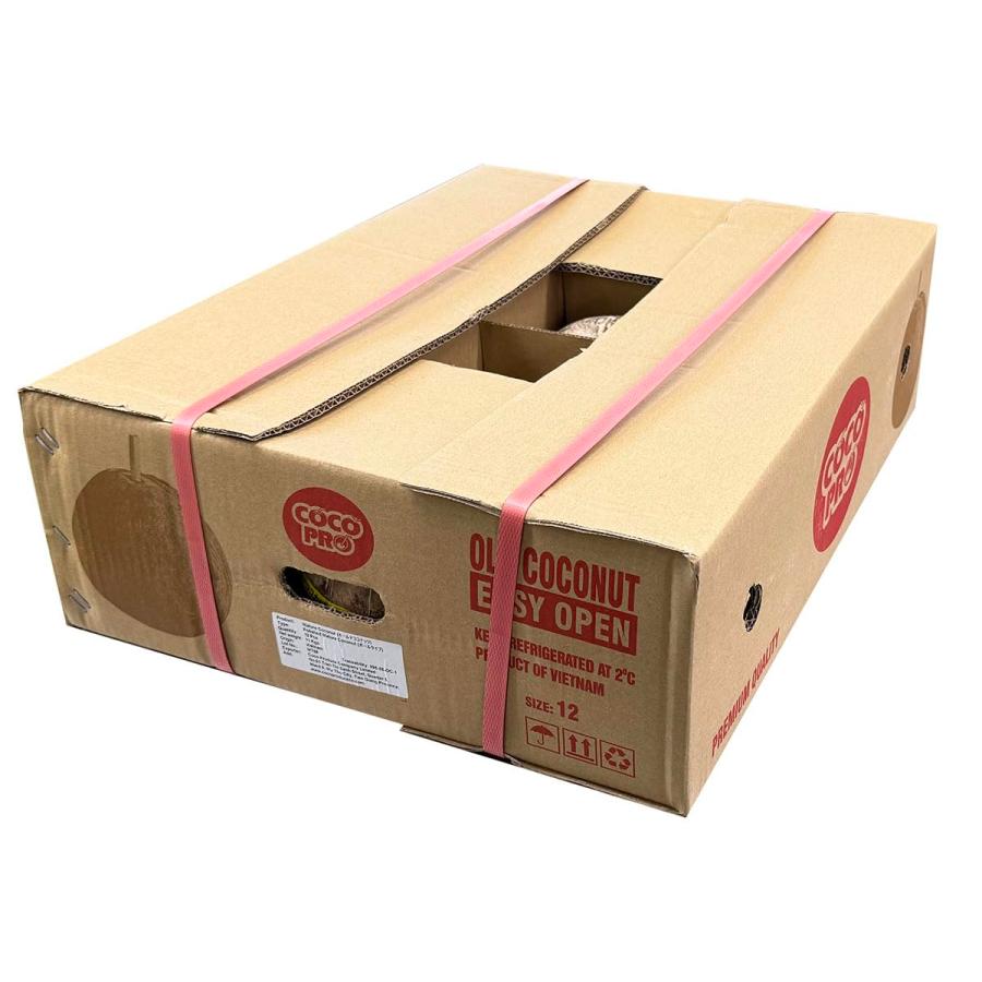 ベトナム産 ココナッツ 12玉入 約10kg （箱） ストロー付き オールド