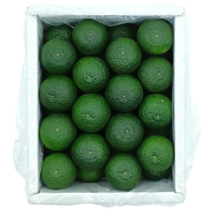 クール便 すだち 3Lサイズ 秀品A 1kg 箱入り 徳島産 : eight cat