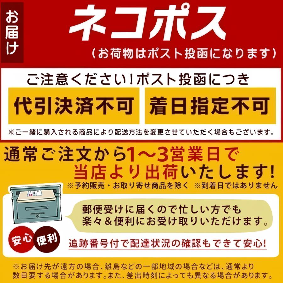 コリアンダーパウダー 100g (インド産 コリアンダー) 選別品 粉末 Coriander Powder (スパイス 香辛料) 無添加 無農薬/業務用｜eight-shop｜06