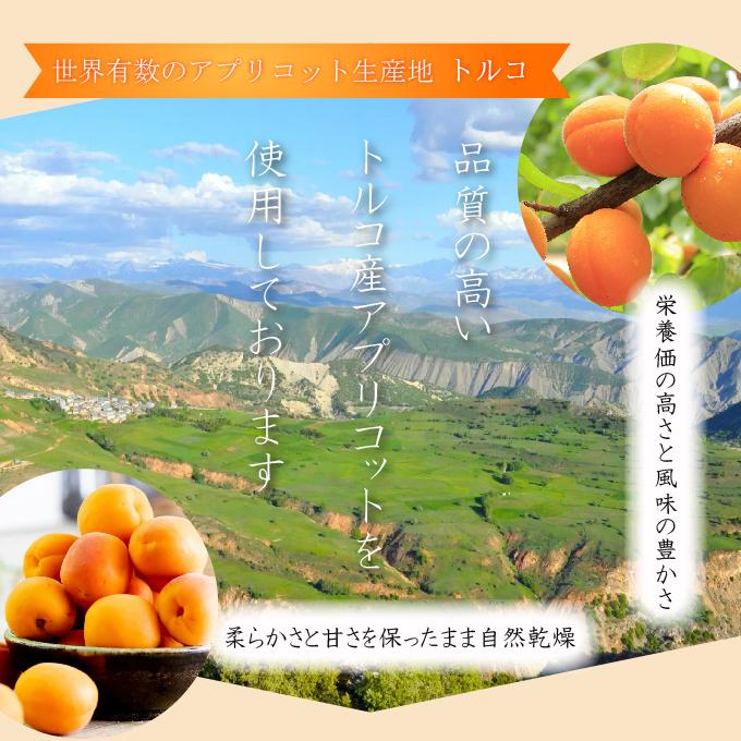 C干し杏＃011ドライフルーツ ドライアプリコット 玉井フルーツ Eight Shop（食品） ドライ アプリコット トルコ産 450g ドライ