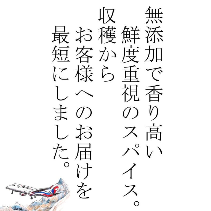 100％ ヒハツ パウダー 100g 送料無料 ヒハツ ロングペッパー ヒハツ粉末 ヒハツパウダー スパイス 香辛料｜eight-shop｜05