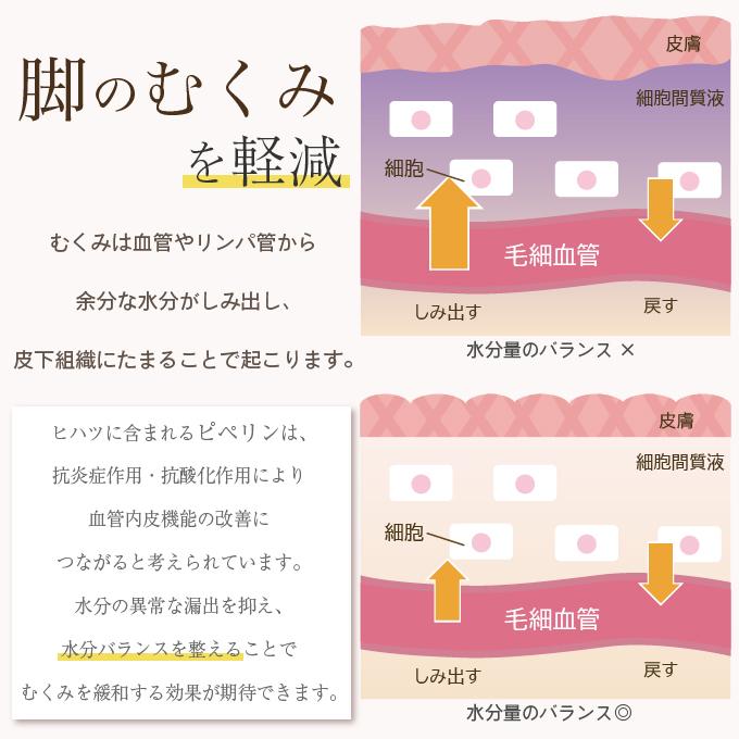 ヒハツパウダー 50g  JEAU CHAU ジョウショー スパイス ヒハツ100％  ロングペッパー ヒハツ粉末 ヒハツパウダー スパイス 香辛料 お試し 送料無料 爆買 | Eight Shop（食品） | 10