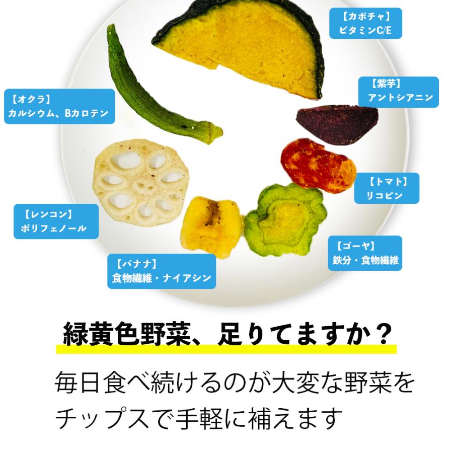 野菜チップス 300g 7種 かぼちゃ オクラ トマト 紫芋 レンコン ゴーヤ バナナ おやつ おつまみ T3 Ub3y Lgit Eight Shop 通販 Yahoo ショッピング