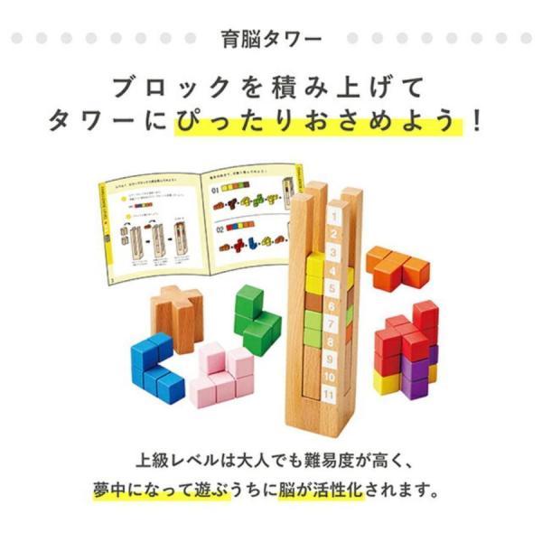 知育玩具 モンテッソーリ教具 育脳タワー 木のおもちゃ 積木 脳 知育玩具 モンテッソーリ教具 育脳タワー 木のおもちゃ 積木 脳