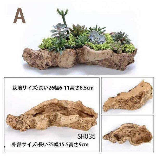家居の飾り物鉢植木鉢ポリ製多肉植物寄せ植えかわいいプチ 家居の飾り物鉢植木鉢ポリ製多肉植物寄せ植えかわいいプチ