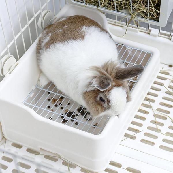 うさぎトイレボックスペットトイレ猫うさぎバニー小動物トイレ うさぎトイレボックスペットトイレ猫うさぎバニー小動物トイレ