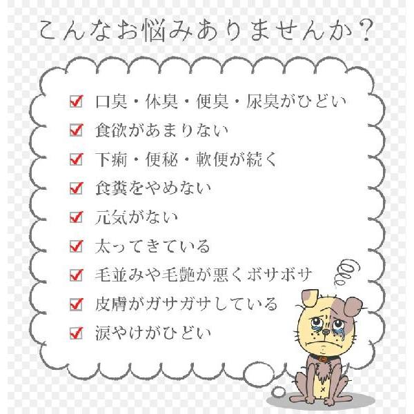 【30g】パパイヤ発酵食品/犬サプリ/犬　酵素｜eightdogs｜02