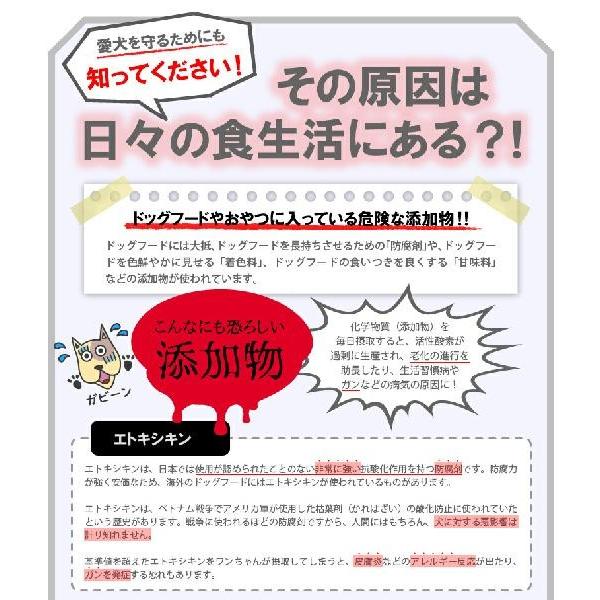30g パパイヤ発酵食品 犬サプリ 犬 酵素 Kouso 01 Eightdogsヤフー店 通販 Yahoo ショッピング