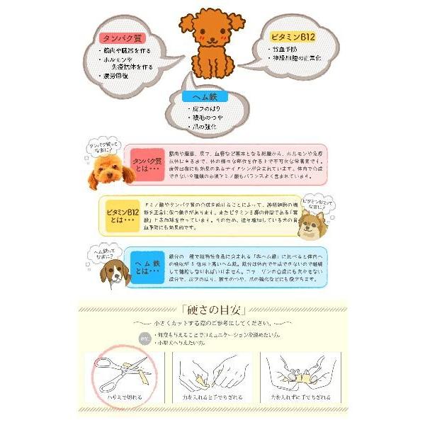 国産・無添加・無着色仔牛リブボーン [犬・おやつ・犬のおやつ・犬用おやつ・ドックフード・国産・無添加・無着色]｜eightdogs｜04