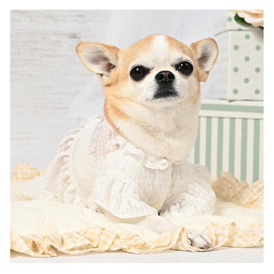 ココアトワ] シアーレース ワンピース cocoAtoi ボタン式 犬 服