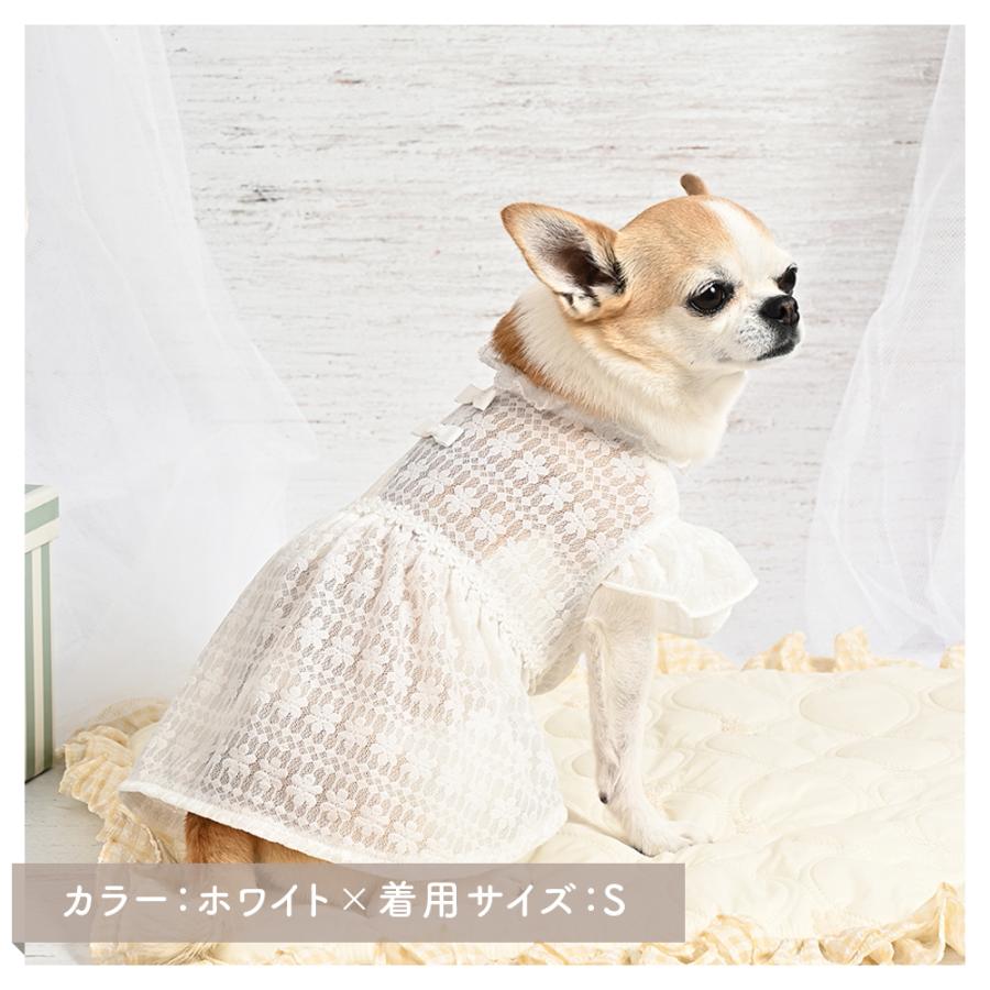 ココアトワ] シアーレース ワンピース cocoAtoi ウェディング 犬 服