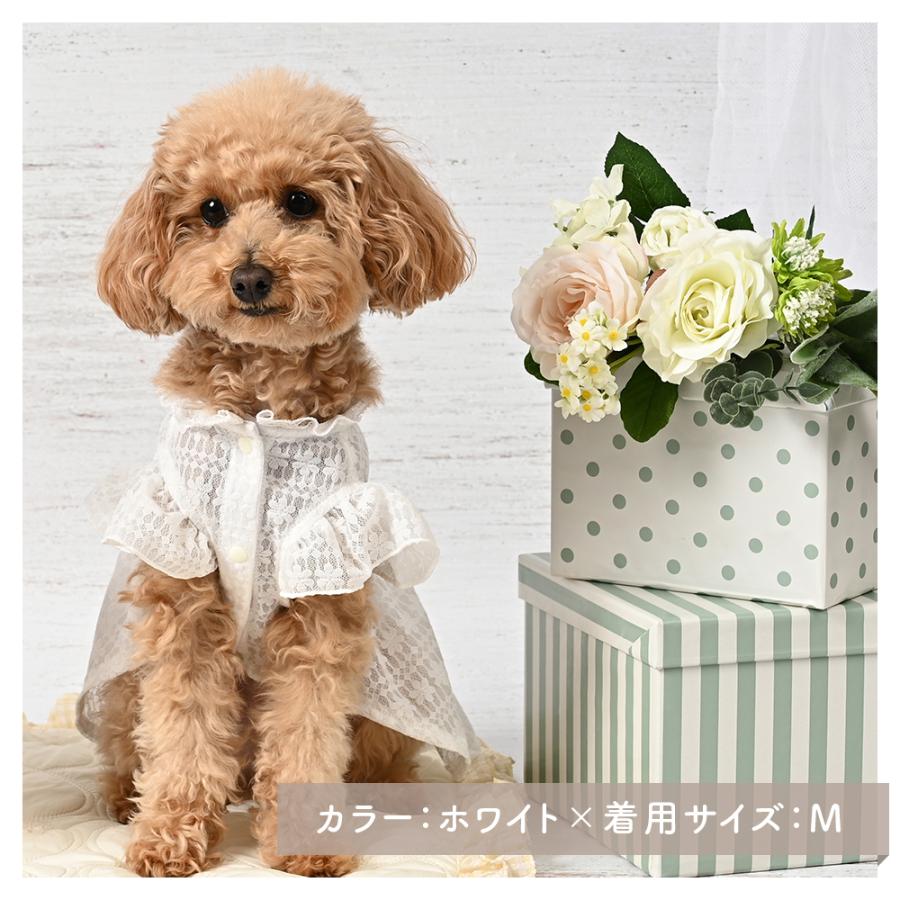 ココアトワ] シアーレース ワンピース cocoAtoi ウェディング 犬