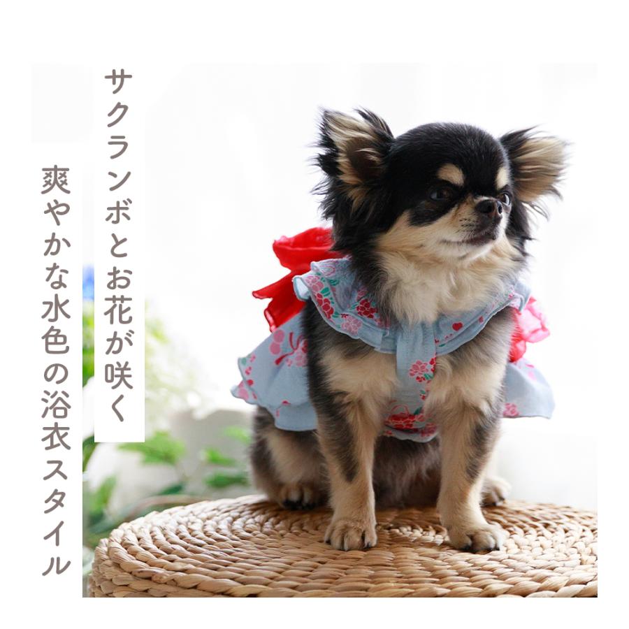 ココアトワ]サンドレスゆかた さくらんブーケ cocoAtoi 浴衣 犬 服
