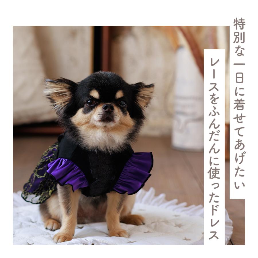 小型犬用レースドレス 黒 小型犬用レースドレス 黒