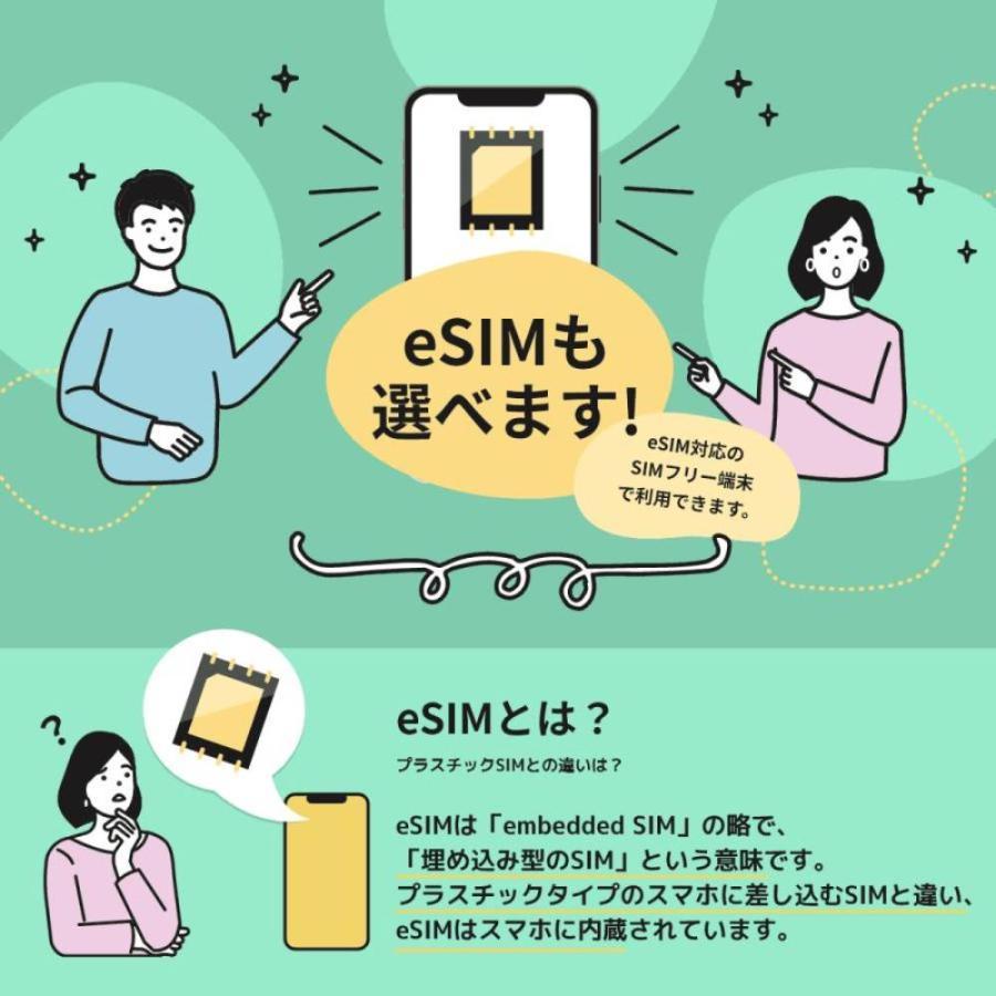 日本通信SIM スターターパック ドコモネットワーク NT-ST2-P 送料無料 メール便にてお届け｜eightloop2nd｜12