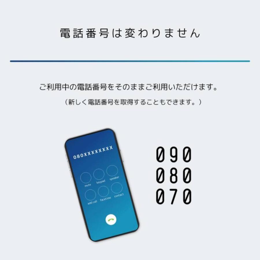 日本通信SIM スターターパック ドコモネットワーク NT-ST2-P 送料無料 メール便にてお届け｜eightloop2nd｜08