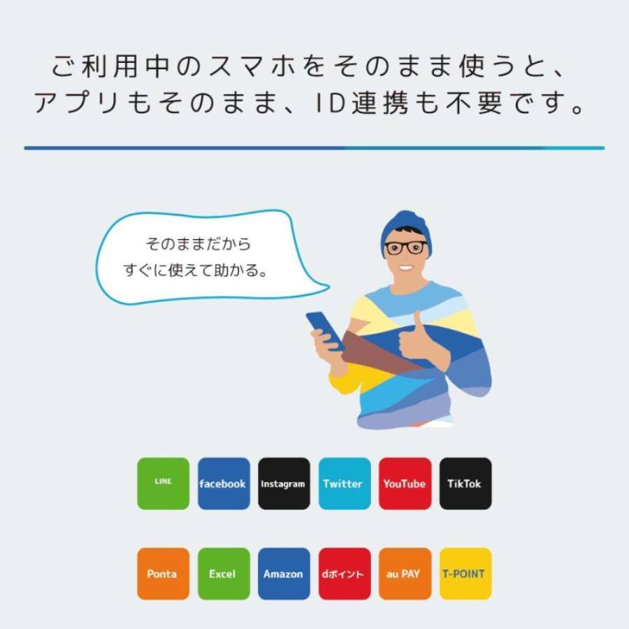 日本通信SIM スターターパック ドコモネットワーク NT-ST2-P 送料無料 メール便にてお届け｜eightloop2nd｜09