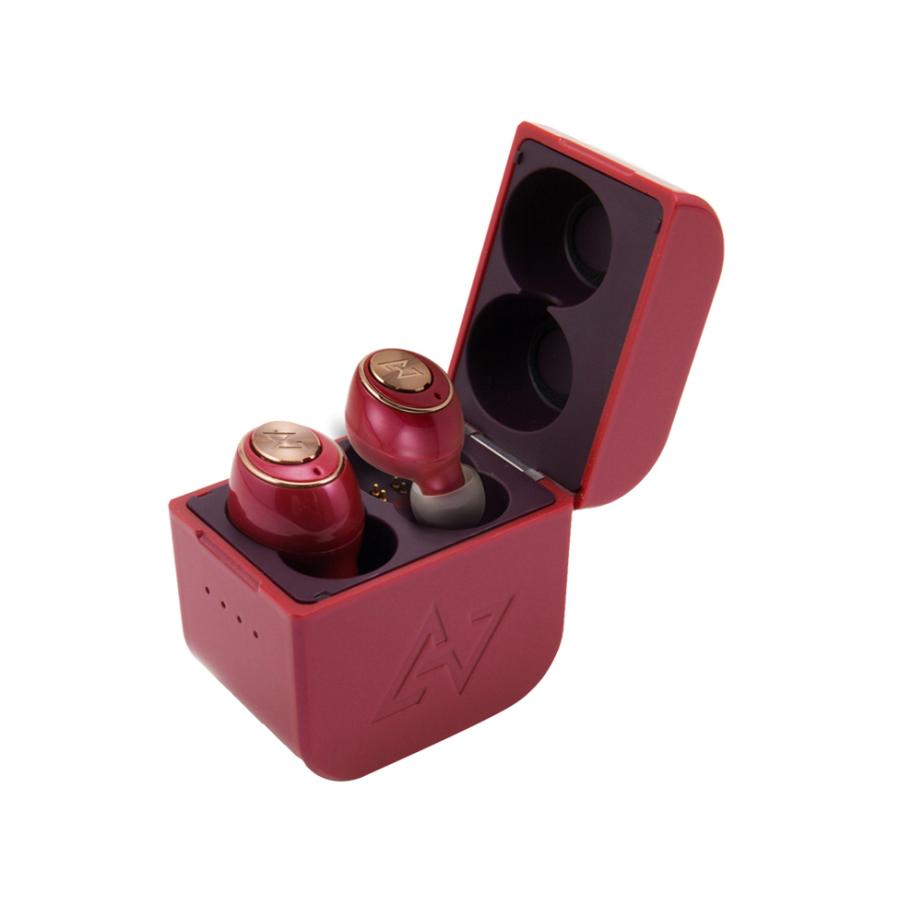 アウトレット AVIOT TE-D01g-CR トゥルーワイヤレスイヤホン コーディナルレッド 未使用品 メーカー保証なし 送料無料 | AVIOT