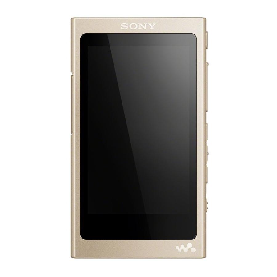 箱付　美品　SONY NW-A845 ウォークマン　ゴールド　オーディオプレイヤ 箱付 美品 SONY NW-A845 ウォークマン ゴールド オーディオ
