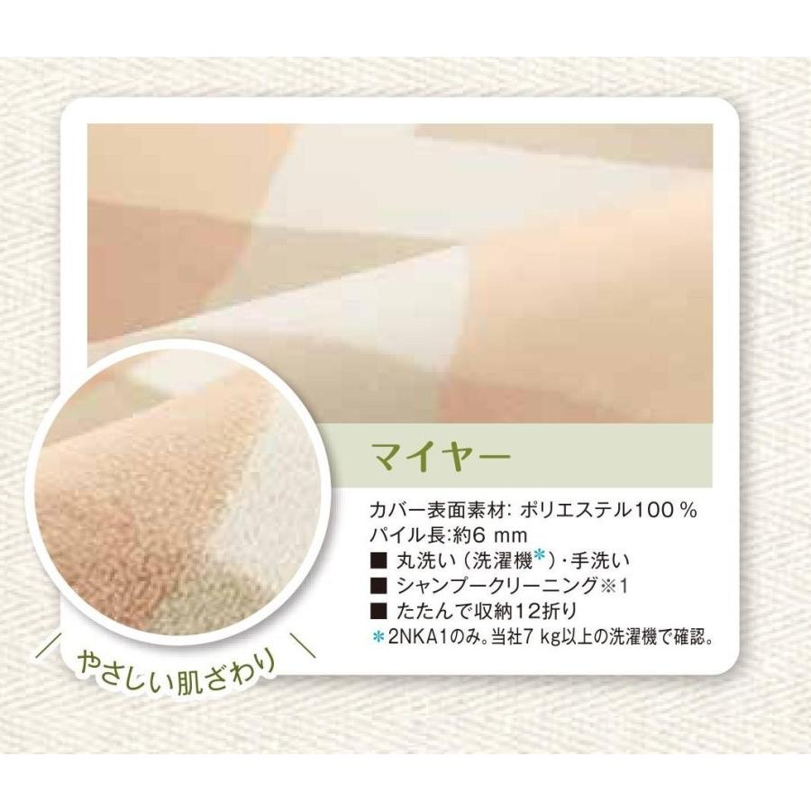 パナソニック Panasonic DC-2NKA1-C 2畳用カーペット 着せ替えカーペット 本体＆カバーセット 8時間自動OFF ベージュ 新品 送料無料 | Panasonic | 03