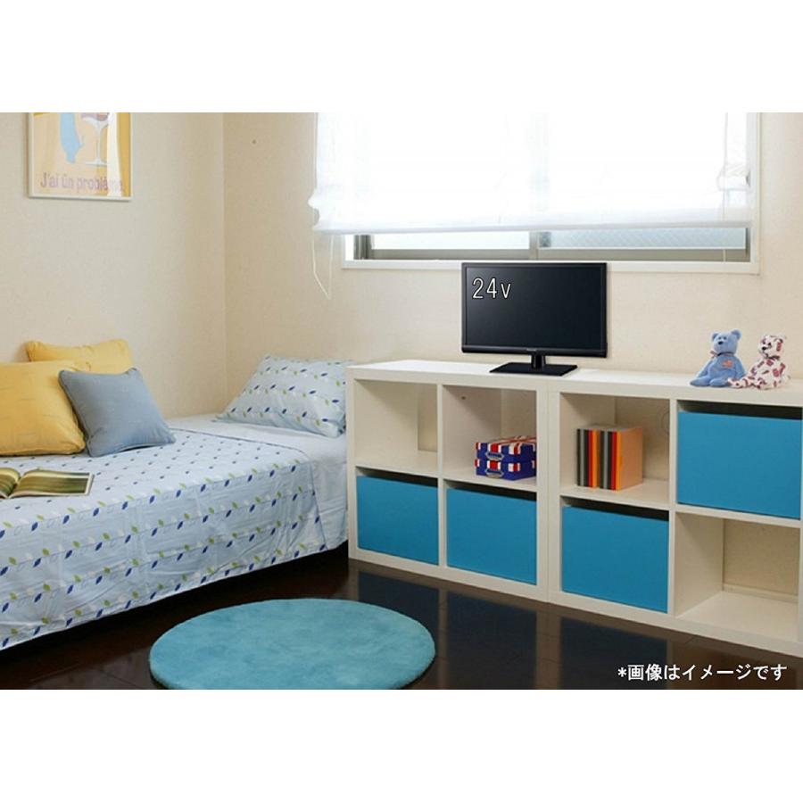 VIERA パナソニック Panasonic 24V型 ハイビジョン 液晶テレビ