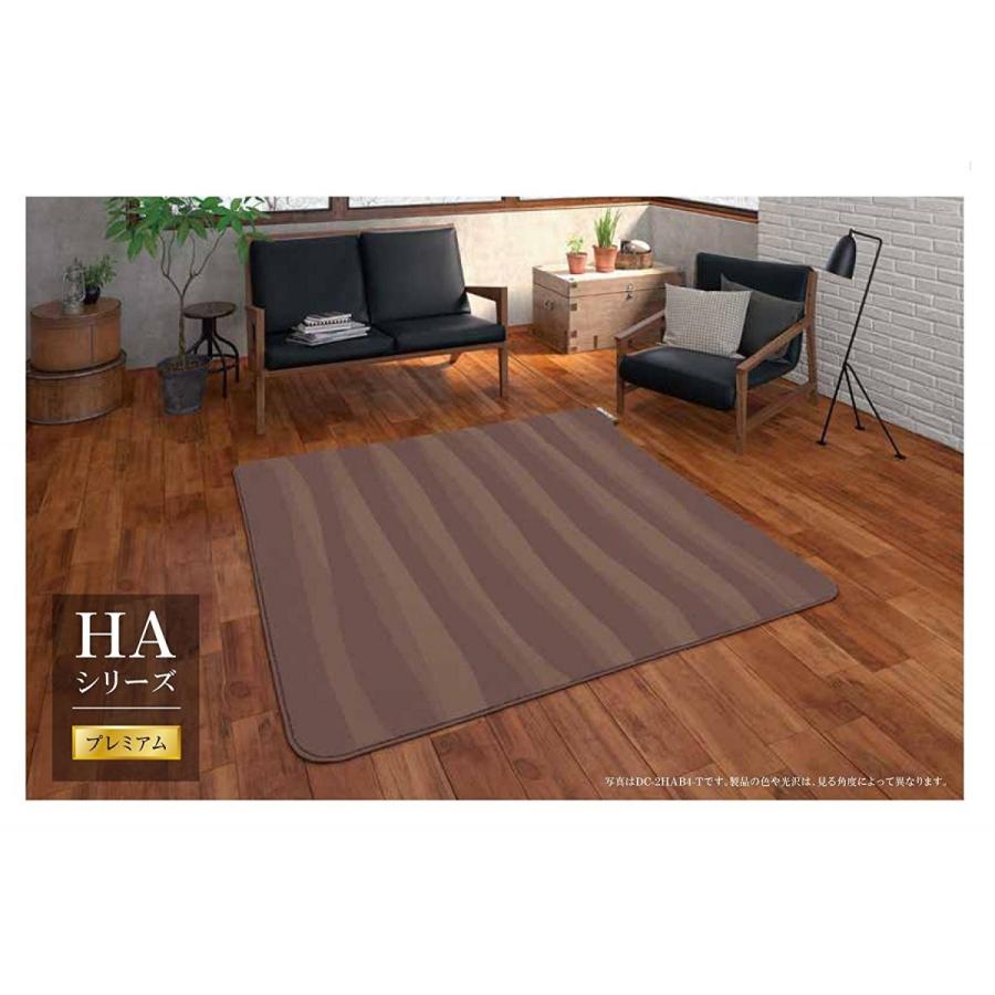 パナソニック Panasonic DC-2HAB4-T 着せ替えホットカーペット セットタイプ マイヤー編み 2畳相当 ブラウン 新品 送料無料 | Panasonic | 02