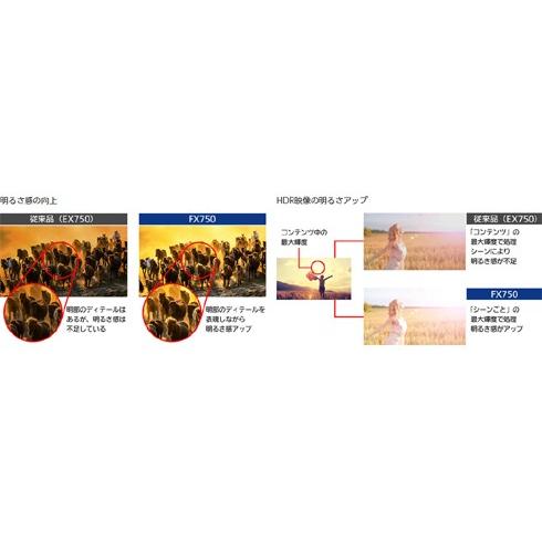 VIERA パナソニック Panasonic TH-43FX750 4Kビエラ 43V型 地上・BS 