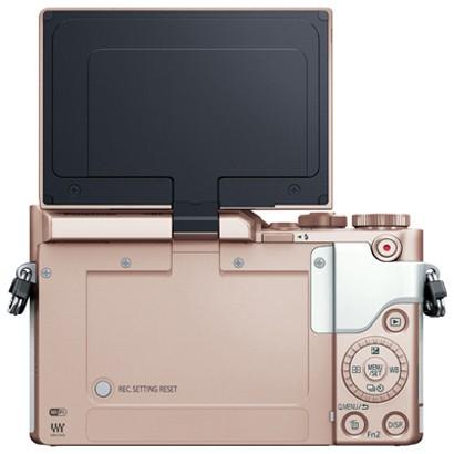 LUMIX パナソニック Panasonic DC-GF10W-W ダブルレンズキット