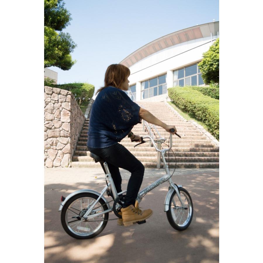 新品未開封　折り畳み自転車　FIELD CHAMP365 フィールドチャンプ FIELD CHAMP 折り畳み自転車 CHAMP365 FDB16 No