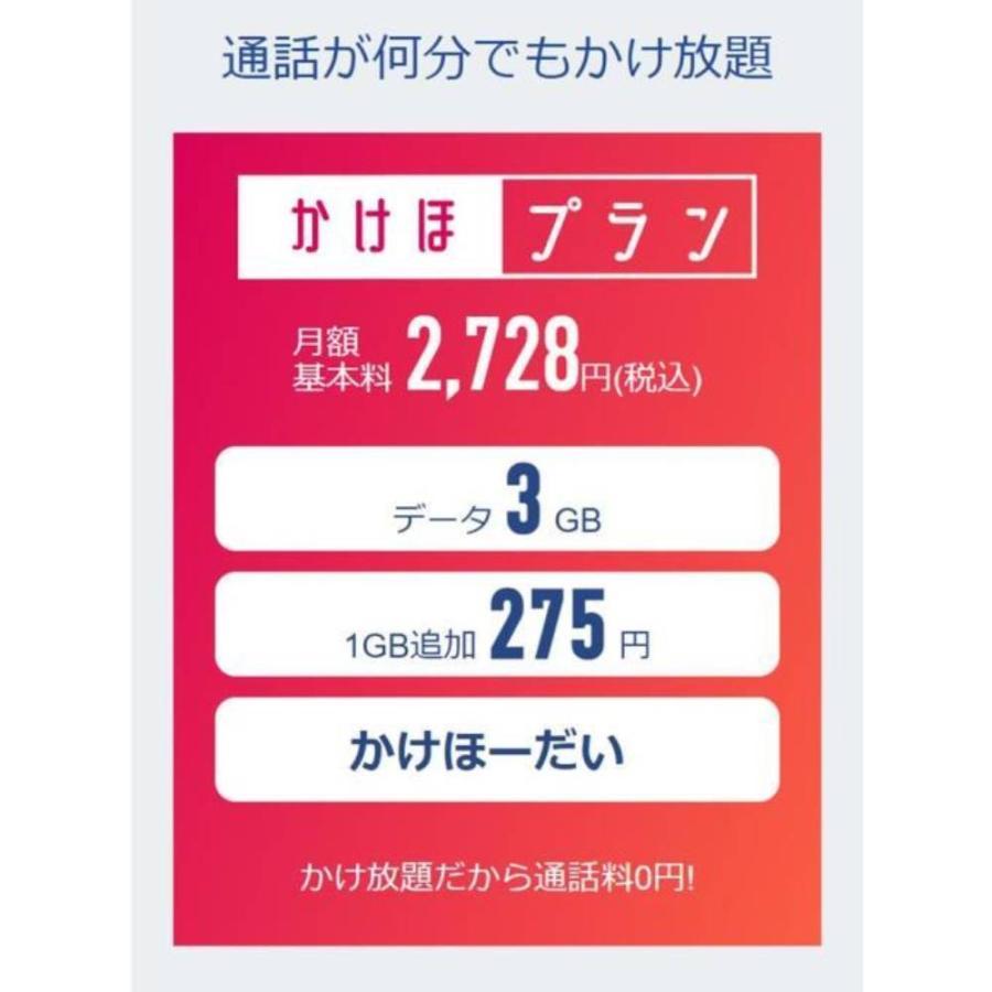 日本通信SIM スターターパック ドコモネットワーク NT-ST2-P 申込有効期限2025年3月末日まで 送料無料 メール便にてお届け | ブランド登録なし | 04