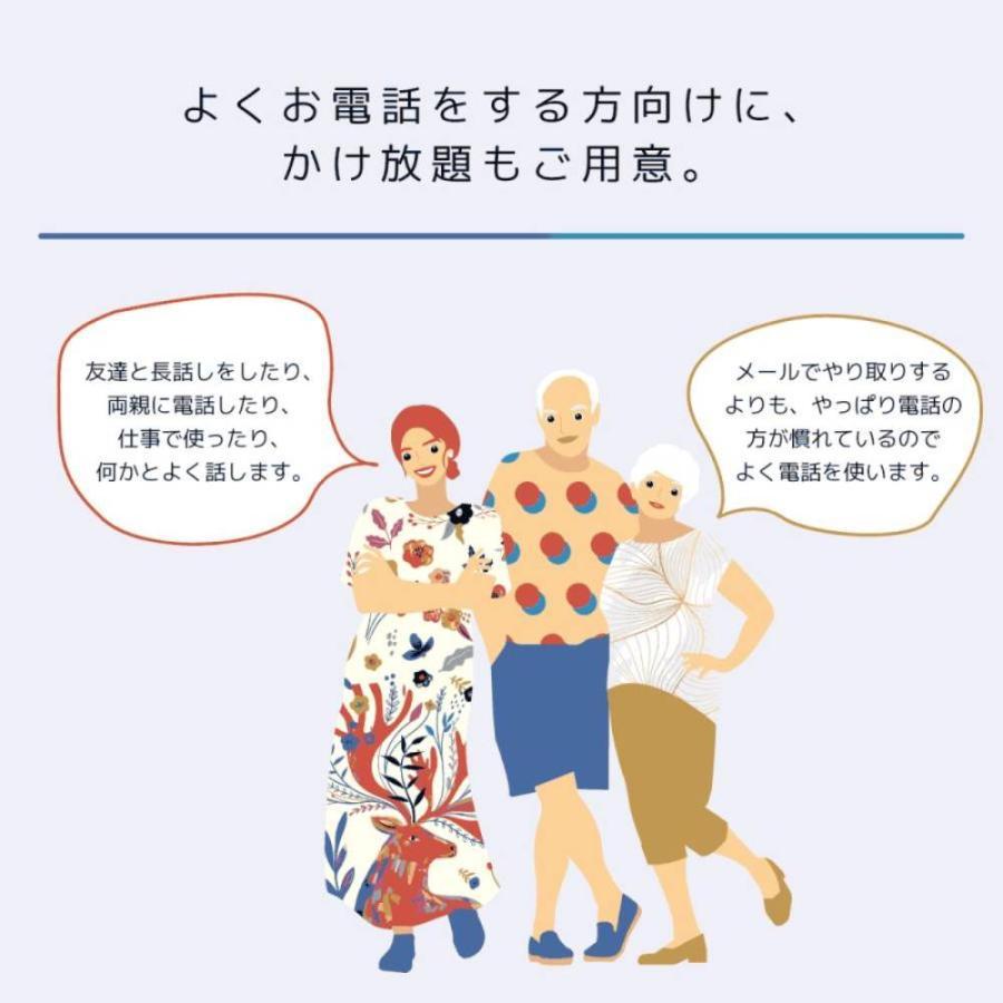 日本通信SIM スターターパック ドコモネットワーク NT-ST2-P 申込有効期限2025年3月末日まで 送料無料 メール便にてお届け | ブランド登録なし | 06