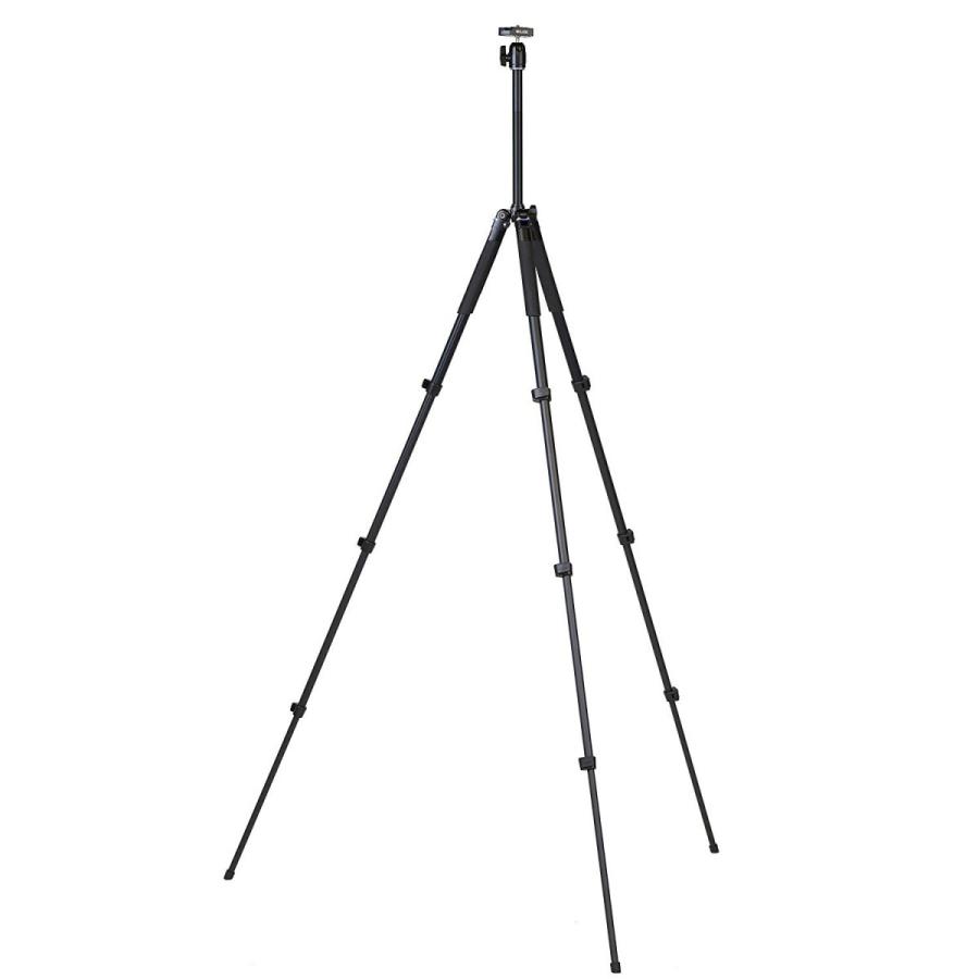 SLIK スリック ライテイポッド200N 新品 送料無料 | SLIK | 01