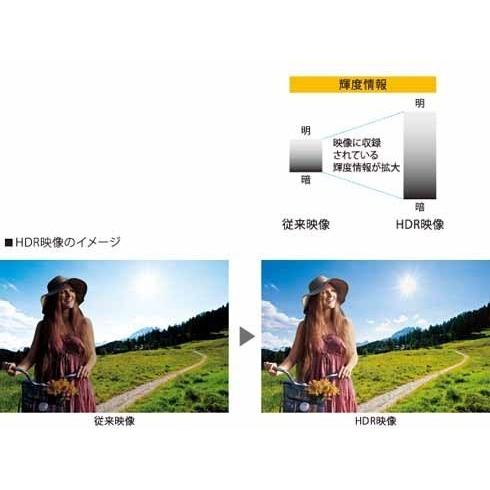 シャープ SHARP LC-50U40 AQUOS アクオス 50V型 地上・BS・110度CSデジタルハイビジョン液晶テレビ 4K対応 新品 送料無料 | AQUOS | 03