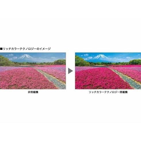 シャープ SHARP LC-50U40 AQUOS アクオス 50V型 地上・BS・110度CSデジタルハイビジョン液晶テレビ 4K対応 新品 送料無料 | AQUOS | 04