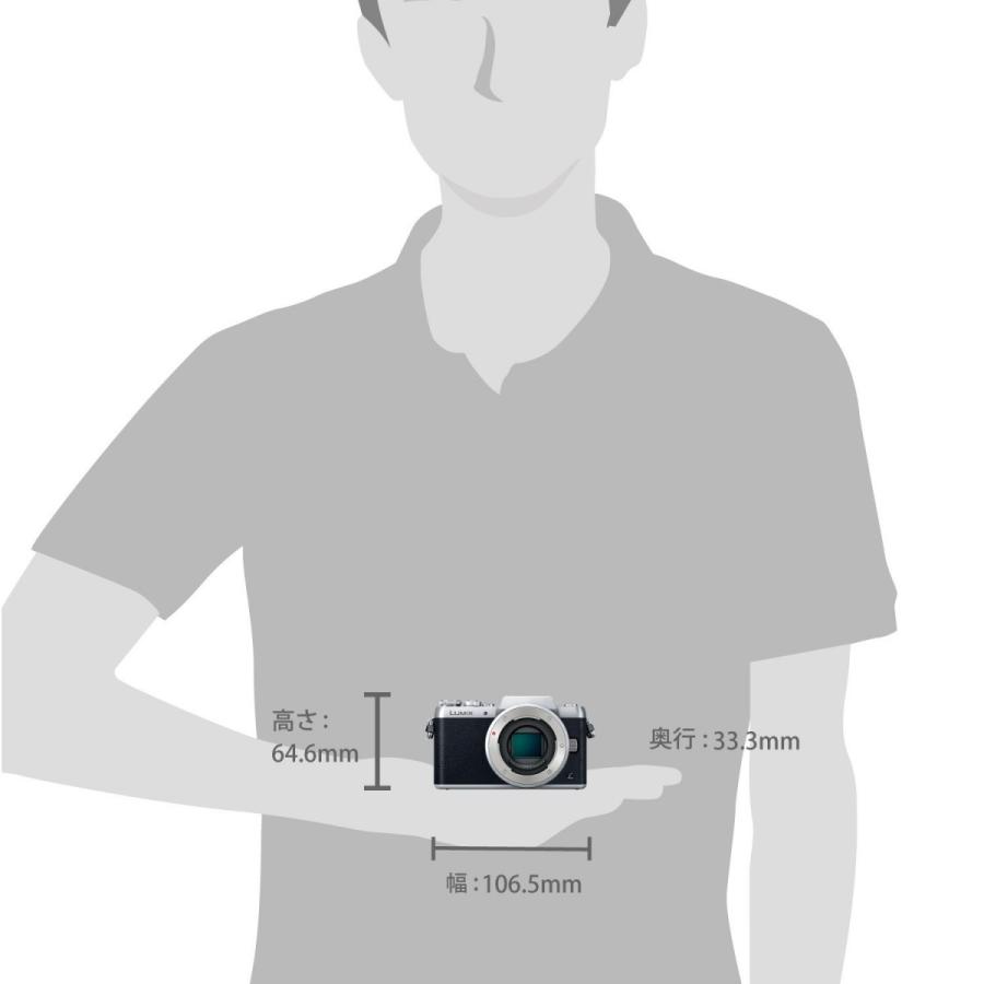 パナソニック Panasonic ミラーレス一眼カメラ DMC-GF7 ダブルズームレンズキット 標準ズームレンズ 望遠ズームレンズ付属 DMC-GF7W-S シルバー 新品 送料無料 | LUMIX | 05