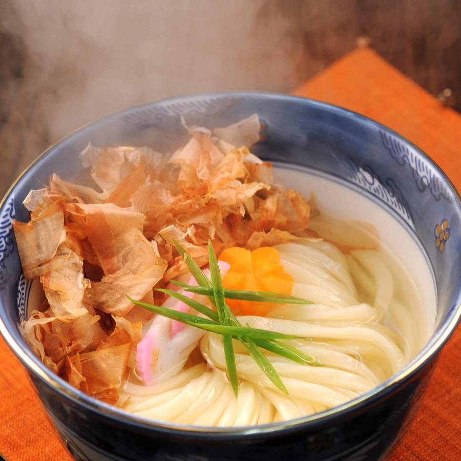 半生讃岐うどん・並切麺300g×15 麺のみ_2