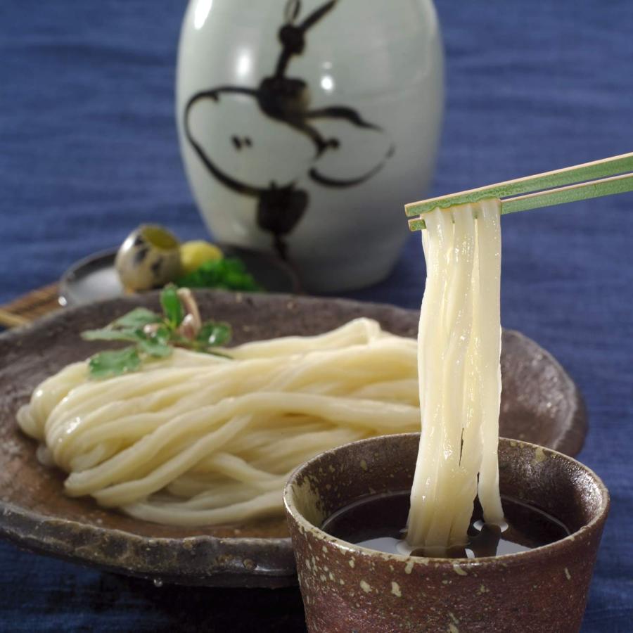 半生讃岐うどん・並切麺300g×15 麺のみ_3
