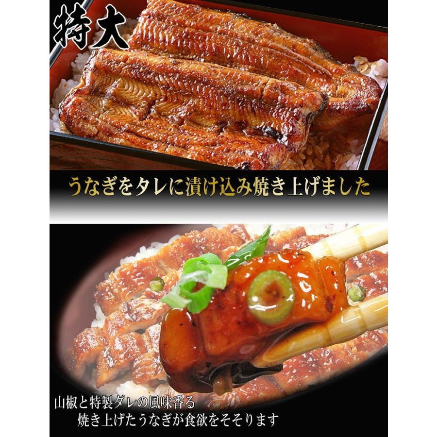 国産（宮崎県産・鹿児島県産） 炭火焼 うなぎ蒲焼 2尾入 特大(1尾約230g前後〜250ｇ前後) 蒲焼のタレ付 ギフト おのみち発の画像