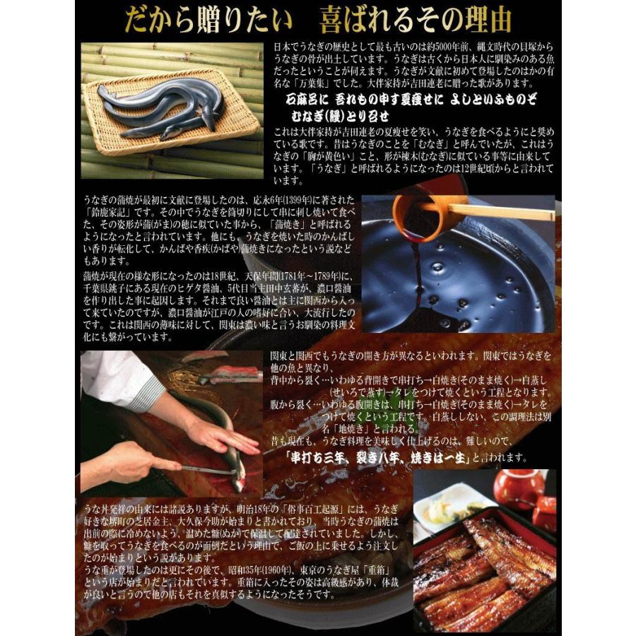 国産（宮崎県産・鹿児島県産） 炭火焼 うなぎ蒲焼 2尾入 特大(1尾約230g前後〜250ｇ前後) 蒲焼のタレ付 ギフト おのみち発の画像