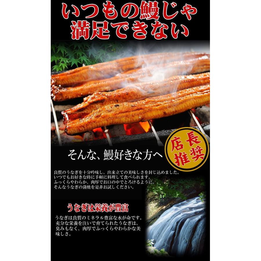 国産（宮崎県産・鹿児島県産） 炭火焼 うなぎ蒲焼 2尾入 特大(1尾約230g前後〜250ｇ前後) 蒲焼のタレ付 ギフト おのみち発の画像
