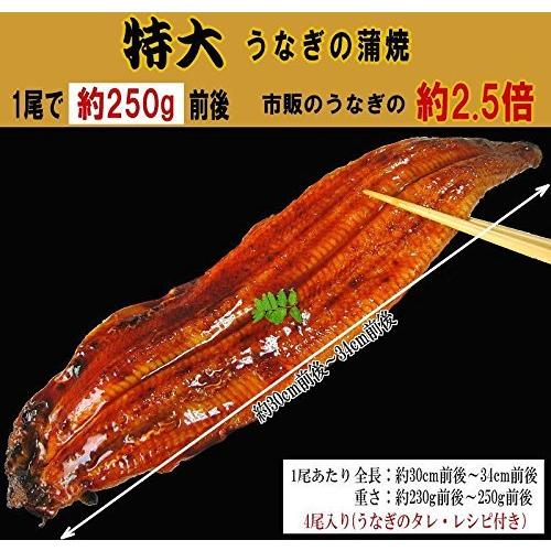 国産（宮崎県産・鹿児島県産） 炭火焼 うなぎ蒲焼 2尾入 特大(1尾約230g前後〜250ｇ前後) 蒲焼のタレ付 ギフト おのみち発の画像