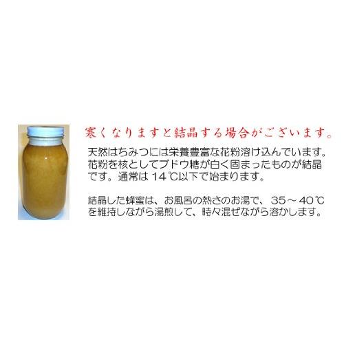蜂蜜国産 日本みつばちの蜂蜜 希少な高級品 幻の百花蜜 1000g_4