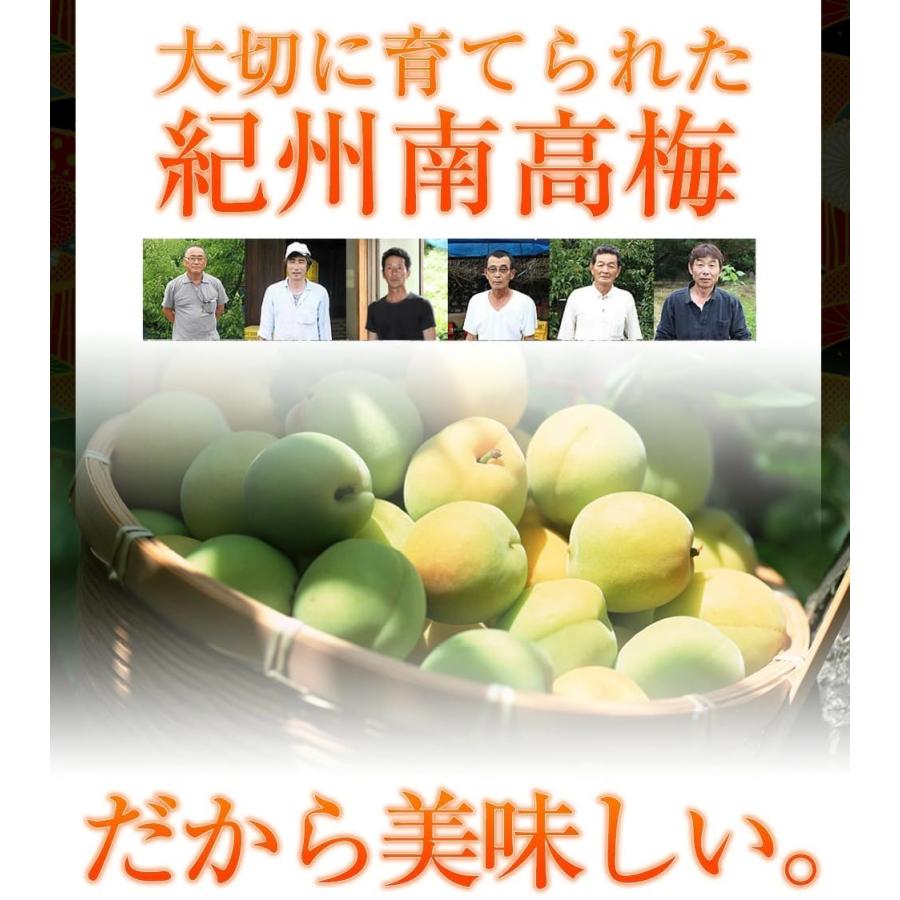 【勝喜梅】産地直送 紀州南高梅 はちみつ仕立て エコパック (Ｌ) 1000g 梅干し 勝僖梅 ショウキバイ しょうきばい南高梅 和歌山 家庭用 徳用_2