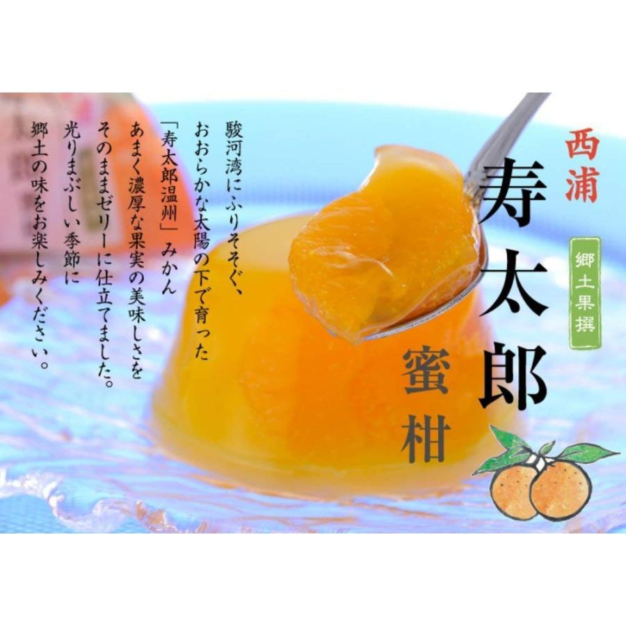 雅心苑 みかん ゼリー 【寿太郎みかん 詰め合わせギフト12個入】観光庁