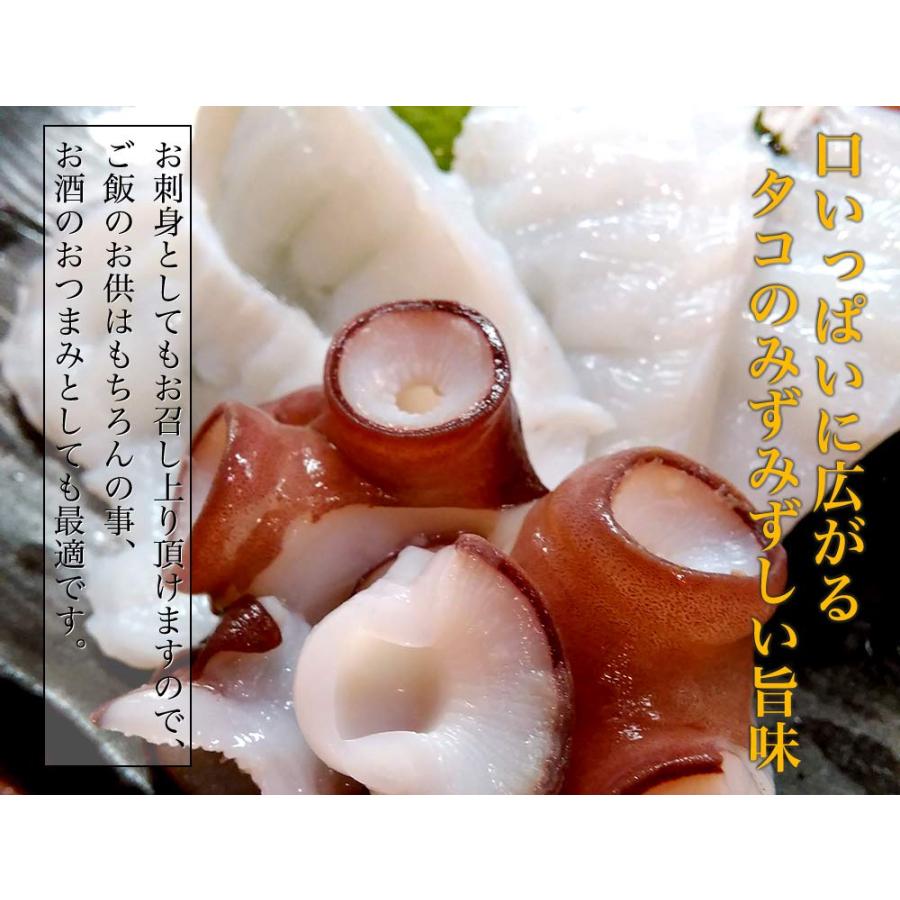 タコ 刺身用 北海道産 大きなタコ足を1本そのまま 刺身 たこ焼き 蛸 大サイズ タコ 約1kgの画像