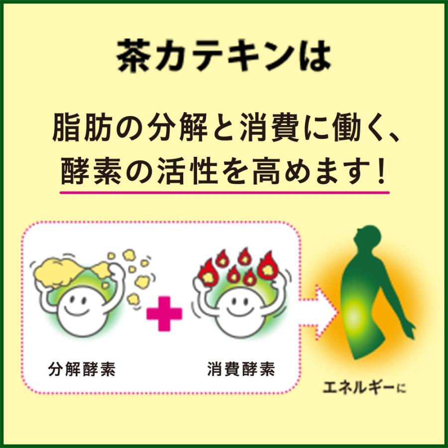 [トクホ] ヘルシア 緑茶 1L×12本_7