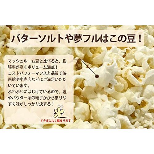 KING ポップコーン豆（バタフライ）22.68kg【約1130人分】 業務用・大容量 食材 業務用 ポップコーン豆 22.68kg バタフライ or マッシュルーム KING