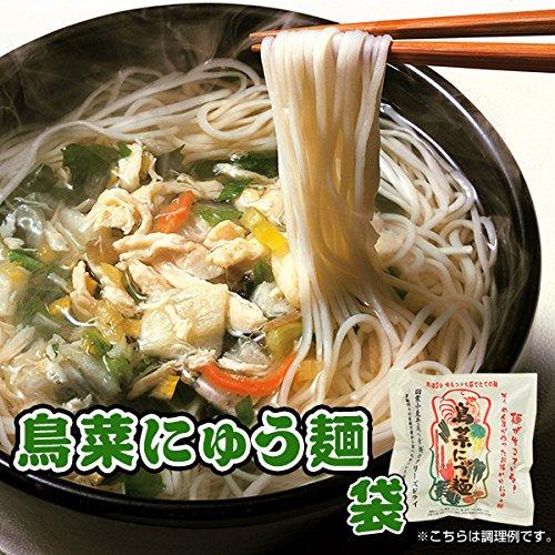 フリーズドライ 本格 手延べ にゅうめん 鳥菜にゅう麺X10袋 詰め合わせ セット 坂利製麺所 お手軽 即席 インスタント食品 袋麺 乾麺 お取り寄せ_1
